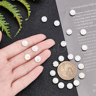 22Pcs 10 Style Natural Freshwater Shell Beads SHEL-AR0001-04-1