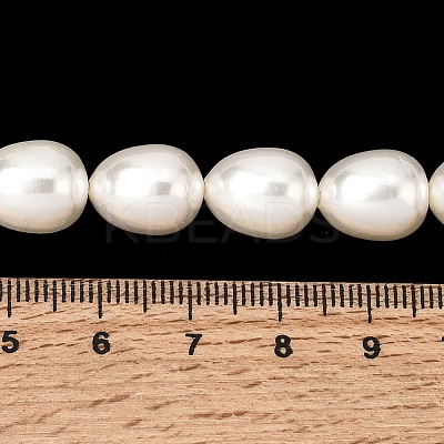 Electroplated Shell Pearl Beads Strands BSHE-B008-04-1
