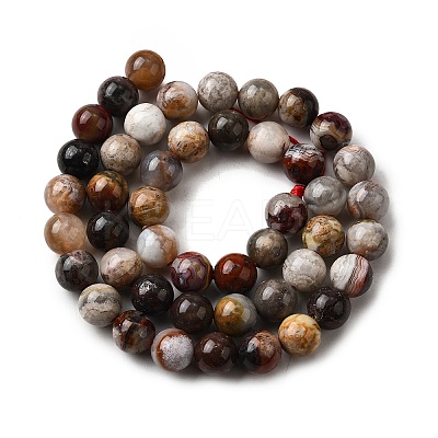 Natural Mexico Crazy Agate Beads Strands X-G-L615-A01-02-1
