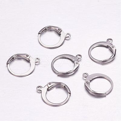 Tarnish Resistant 304 Stainless Steel Leverback Earring Findings STAS-F117-41P-1