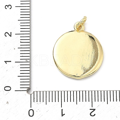 Brass Enamel Pendants LS-KK-H255-05G-01-1