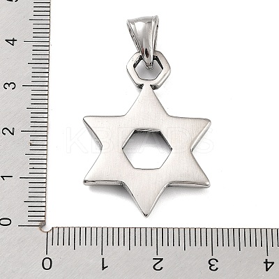 316 Surgical Stainless Steel Pendants STAS-K276-14B-AS-1
