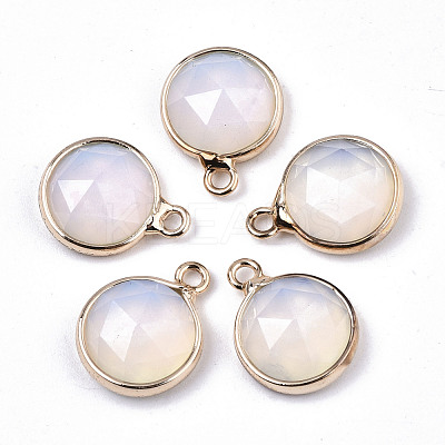 Opalite Charms G-N326-49G-1