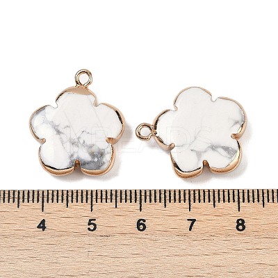 Natural Howlite Pendants G-P566-01G-13-1