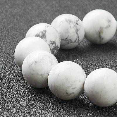 Natural Howlite Beaded Stretch Bracelets BJEW-D446-C-03-1