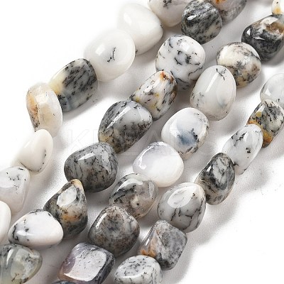 Natural White Opal Beads Strands G-C179-F02-01-1