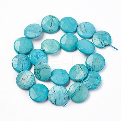 Natural Magnesite Beads Strands TURQ-P027-85-20MM-1