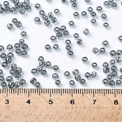 TOHO 8/0 Round Beads SEED-JPTR08-0113-1