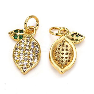 Brass Micro Pave Cubic Zirconia Charms LS-ZIRC-L093-18G-1