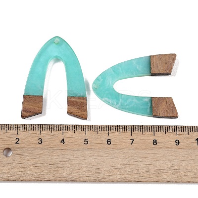 Resin & Wood Pendants LS-WOOD-F015-16D-1