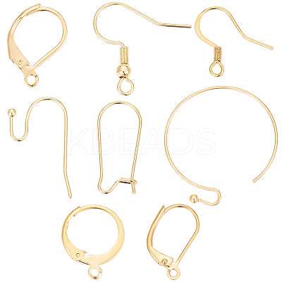 64Pcs 8 Style 304 Stainless Steel & Brass Earring Hooks & Leverback Hoop & Hoop Earrings Findings DIY-BBC0001-77-1