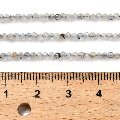 Natural Labradorite Beads Strands G-RM2025-10-2mm-1