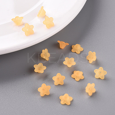 Transparent Acrylic Beads LS-X-PL554-07-1