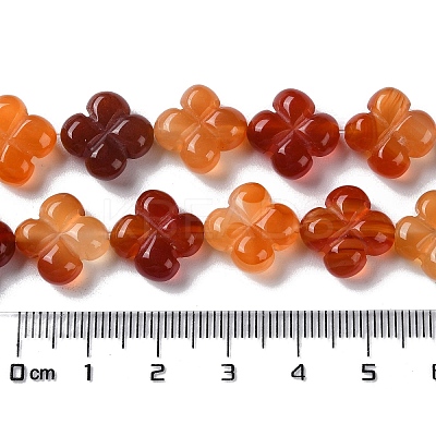 Natural Carnelian Beads Strands G-M418-D02-01-1