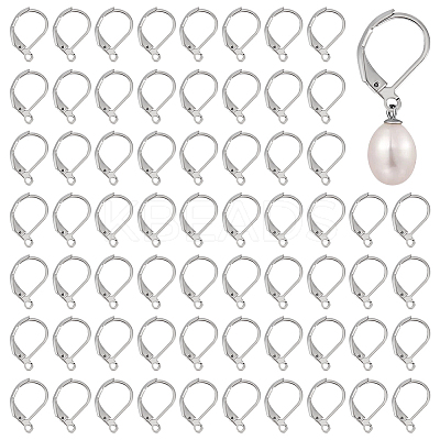 250Pcs 304 Stainless Steel Leverback Earring Findings STAS-ME0001-04-1