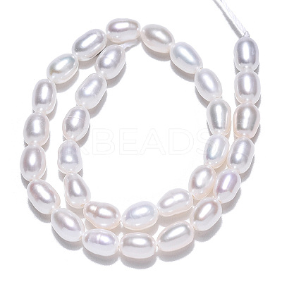 Natural Cultured Freshwater Pearl Beads Strands LS-PEAR-N012-04K-1
