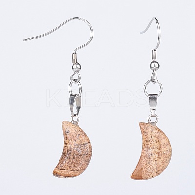 Natural & Synthetic Mixed Gemstone Dangle Earrings EJEW-JE02729-1