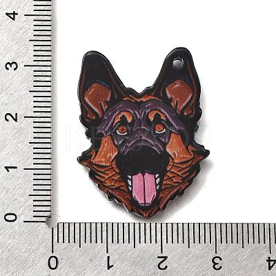 Printed Acrylic Pendants OACR-P033-01D-1