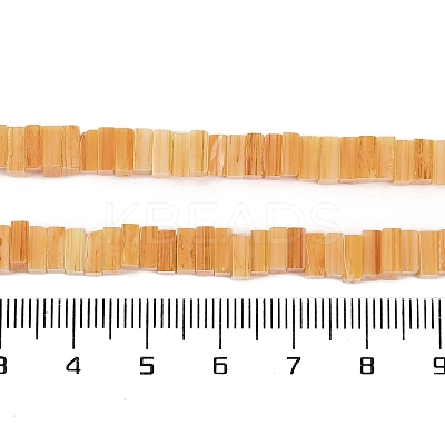 Handmade Lampwork Beads Strands LAMP-Q037-02B-20-1