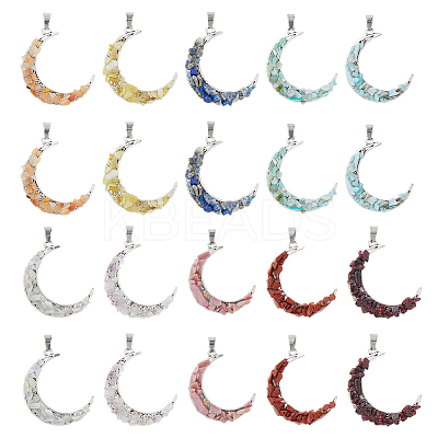 20Pcs 10 Styles Natural Mixed Stone Chip Pendants PALLOY-FH00070-1