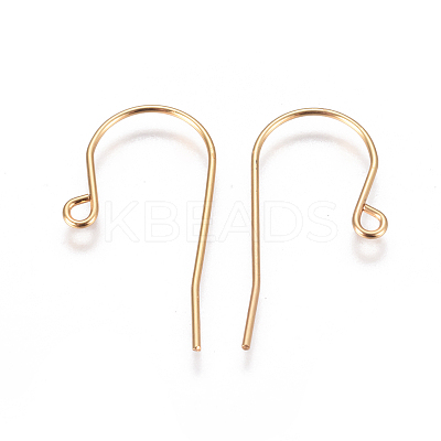 304 Stainless Steel Earring Hooks STAS-F227-29-G-1