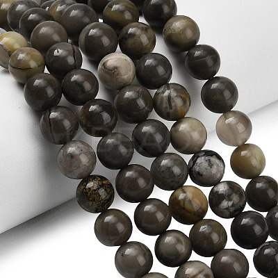 Natural Volcanic Agate Beads Strands G-G305-A01-10mm-1