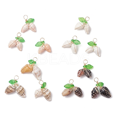 12Pcs 4 Styles Natural Sea Shell Copper Wire Wrapped Pendants PALLOY-JF03611-1