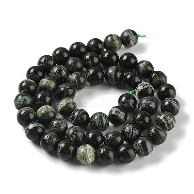 Natural Silver Line Jasper Beads Strands G-Z042-A01-02-1