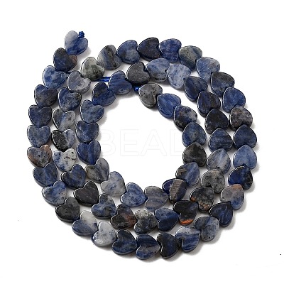 Natural Sodalite Beads Strands G-A272-A01-31-1