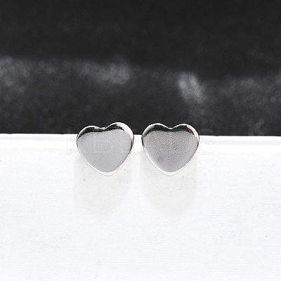 Tarnish Resistant 304 Stainless Steel Ear Studs LS-X-STAS-I071-17P-1