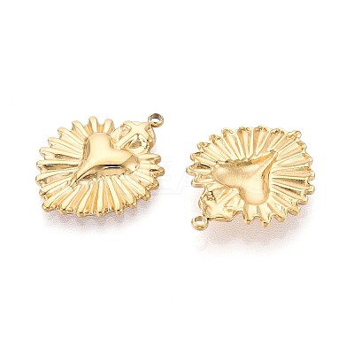 304 Stainless Steel Pendants STAS-N109-207G-1