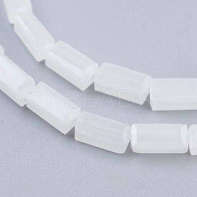 Glass Beads Strands EGLA-F123-3x6mm-NB05-1
