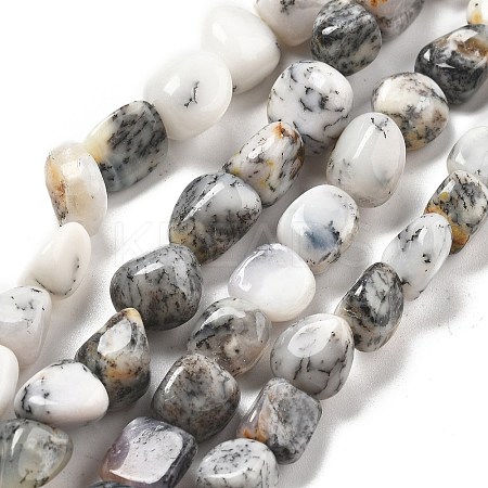 Natural White Opal Beads Strands G-C179-F02-01-1