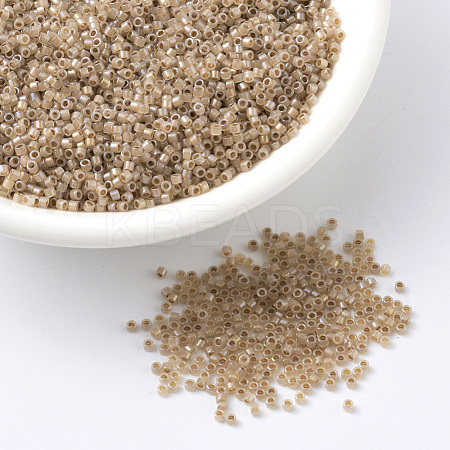 MIYUKI Delica Beads SEED-JP0008-DB1731-1