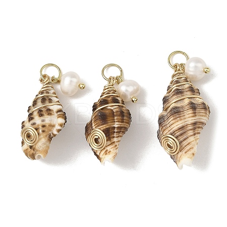 Copper Wire Wrapped Natural Spiral Shell Pendants Pendants PALLOY-JF05972-01-1