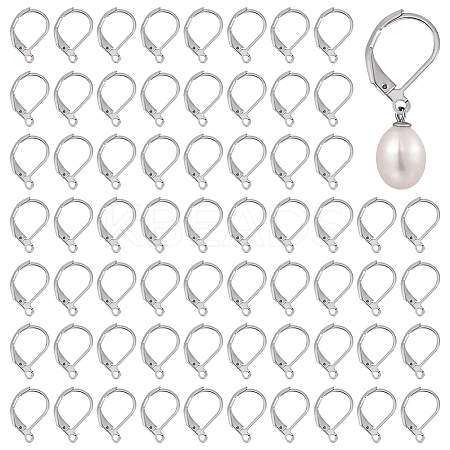 250Pcs 304 Stainless Steel Leverback Earring Findings STAS-ME0001-04-1