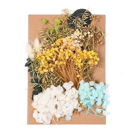 Dried Flower DIY-B018-03-1