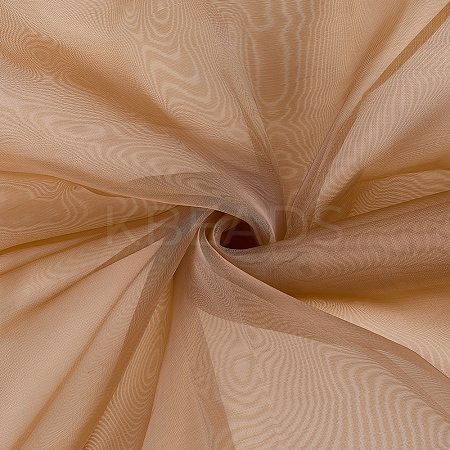 Organza Fabric DIY-WH20050-60D-1