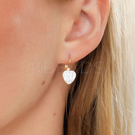 Elegant Heart 201 Stainless Steel Hoop Earrings GM6830-1