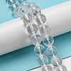 Natural Quartz Crystal Beads Strands G-C079-B06-03-2