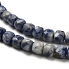Natural Blue Spot Jasper Beads Strands G-H078-C20-01-4
