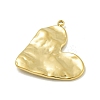 304 Stainless Steel Pendants STAS-L022-413G-2