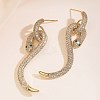 Snake Brass Cubic Zirconia Dangle Stud Earrings for Women EJEW-F367-01B-G-1