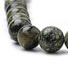 Natural Serpentine/Green Lace Stone Beads Strands G-S259-15-10mm-3