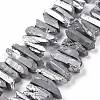 Natural Quartz Crystal Points Beads Strands G-K181-B13-1