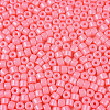 Opaque Baking Paint Glass Seed Beads SEED-T008-02H-3
