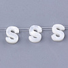 Sea Shell Beads X-SHEL-T012-60S-1