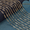 10M Ion Plating(IP) 304 Stainless Steel Paperclip Chains CHS-BBC0001-06-4