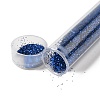 Plastic Glitter Powder Fillers LS-AJEW-H144-01H-1