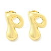 Rack Plating Brass Earrings EJEW-S222-01G-P-1
